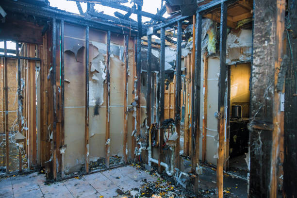 Professional Smoke Damage Restoration technician working in Newport, KY